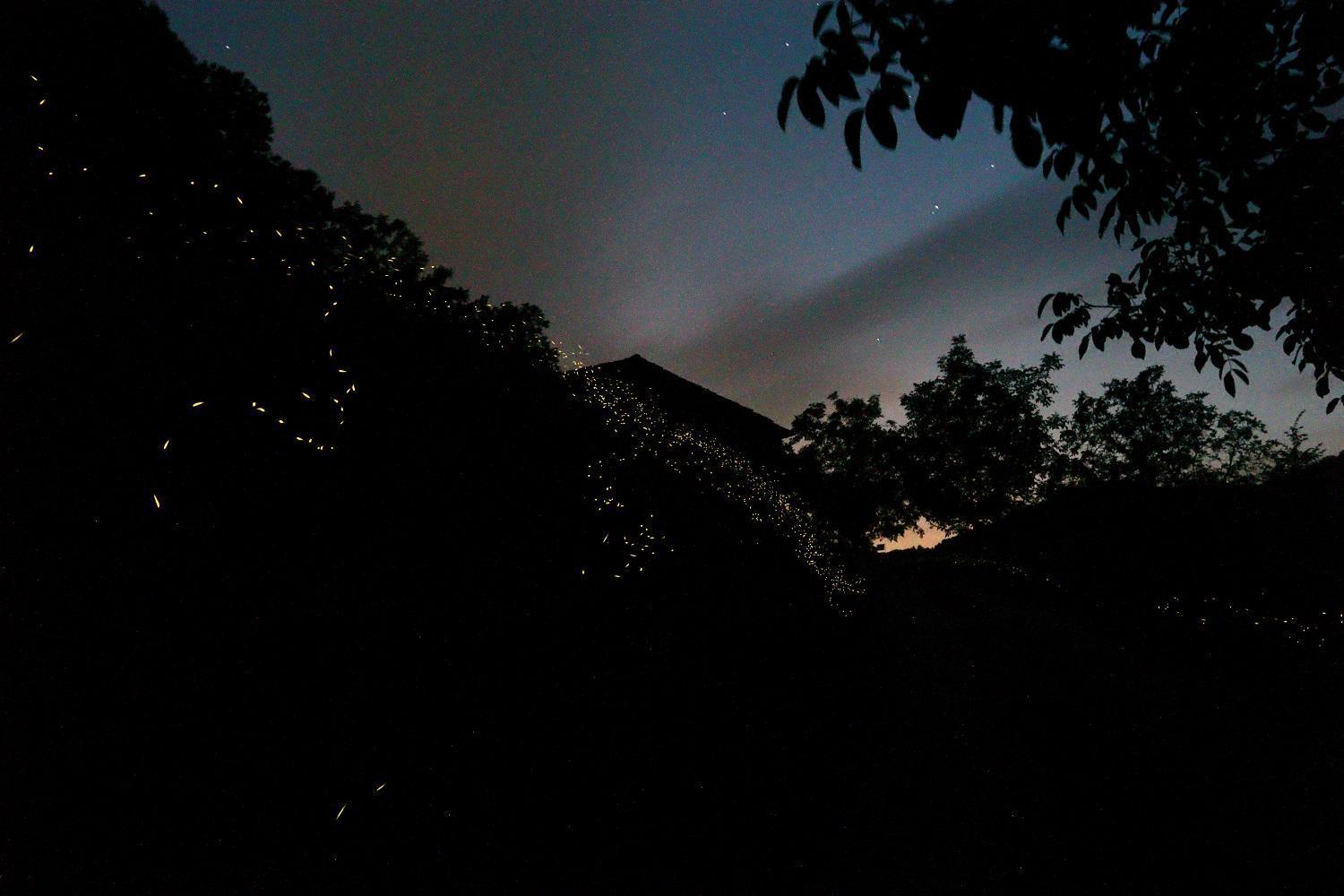 Mimmo'S Holiday House San Godenzo Zewnętrze zdjęcie
